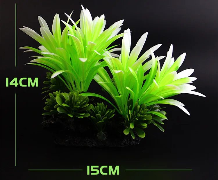 4336094570_986335355