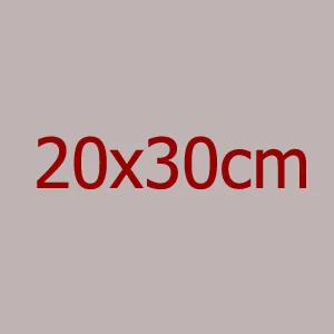 20x30cm 1 шт прозрачный полиэтиленовый пакет для одежды, подарочная упаковка, пластиковый пакет на молнии, фирменный логотип, печать на заказ - Цвет: 20x30cm