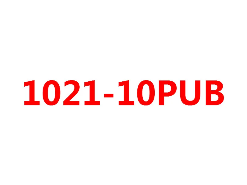 1021-10PUB 1021 женские часы популярны во внешней торговле. Это красивые кварцевые часы с одной пряжкой и бриллиантовым кольцом - Цвет: 1021-10PUB