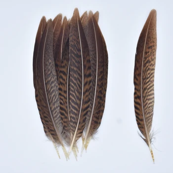 

20Pcs/Lot Natural Pheasant Feathers For Crafts 15-20cm 6-8" Feathers For Jewelry Making Accessories Plumes Wedding Decorations