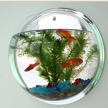 

New Pot Plant Wall Mounted Newest Hanging Decor Bubble Bowl Flowers Fish Tank Home Decor Aquarium Home Decoration Accessories