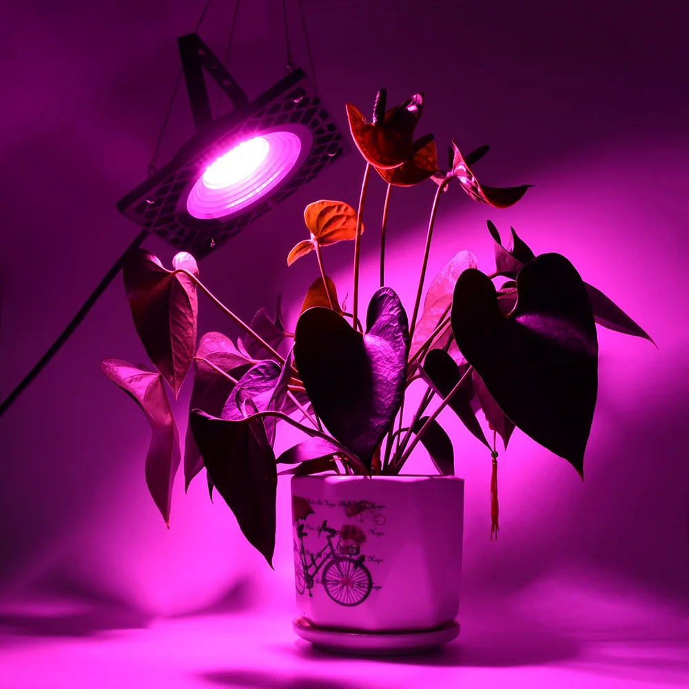 

LED Grow Light High Luminous Efficiency 400W Energy Saving Power Consumption 50W COB Full Spectrum Plant Grow Light