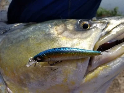 Приманка tiger minnow Магнитный центр гравитации передачи длинное литье 9 г 78 мм рыболовные приманки