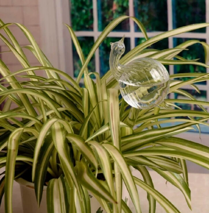 Glass Plant Flowers Water Feeder Automatic Self Watering Devices Bird Star Heart Design Plant Waterer 6 Types