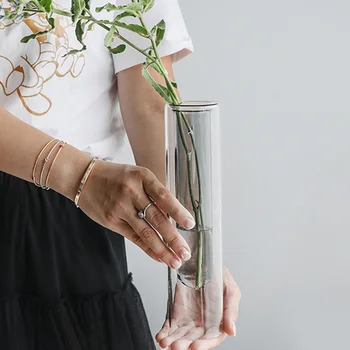 

Nordic 2-color Test Transparent Tube Glass Vase Simple Hydroponic Plant Flower Home Decor MU8669