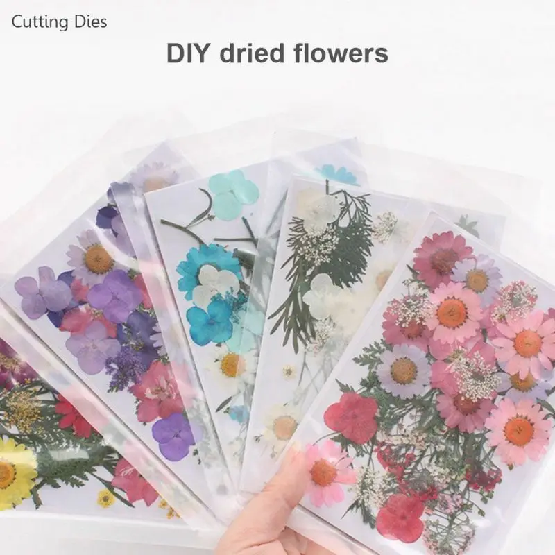 

2019 New Pressed Flower Pattern Mixed Organic Natural Dried Flowers For Scroopbook DIY Art Floral Decors Collect