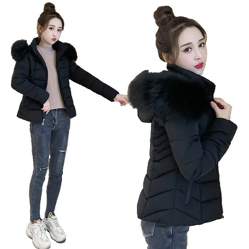 

Small Cotton Coat Women's Short 2019 New Style Short Jacket Students Cotton-padded Clothes Large Fur Collar Coat Warm Winter Coa