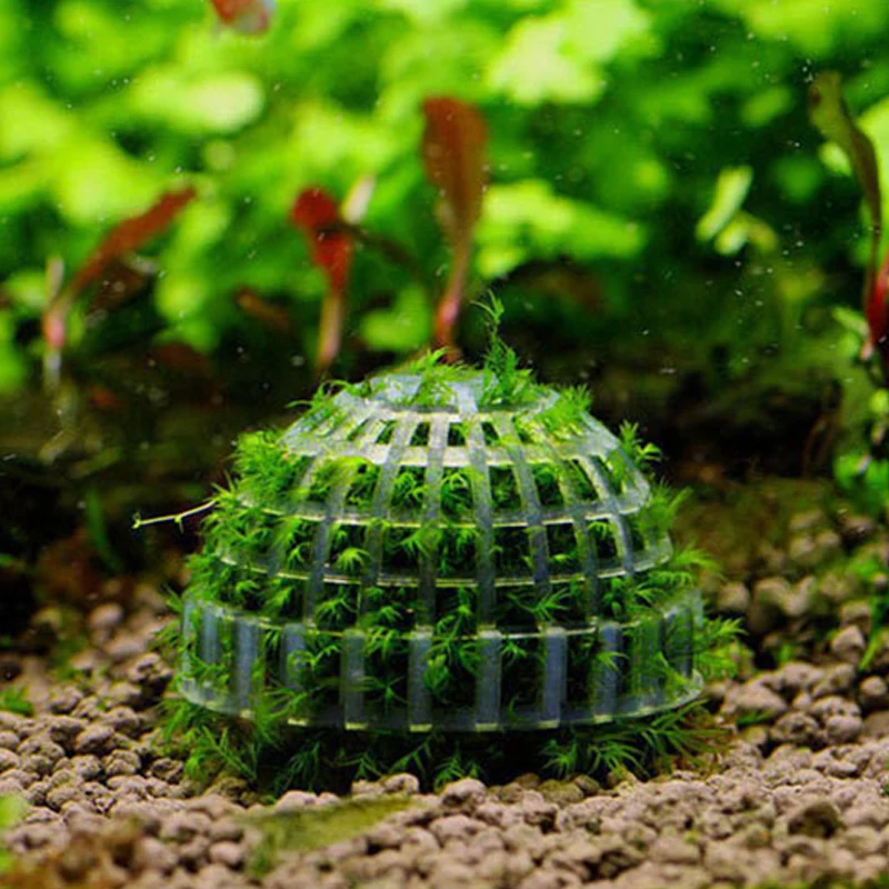 4pcs Aquarium Moss Balls,Live Aquarium Plants Green Moss Decorative Ball for Fish Tank Ornaments Freshwater Terrarium Moss Decoration