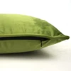 Grass Green Piping Design Velvet Cushion Cover Pillow Case Lovely Soft Pillow Cover No Balling-up Without Stuffing ► Photo 3/4