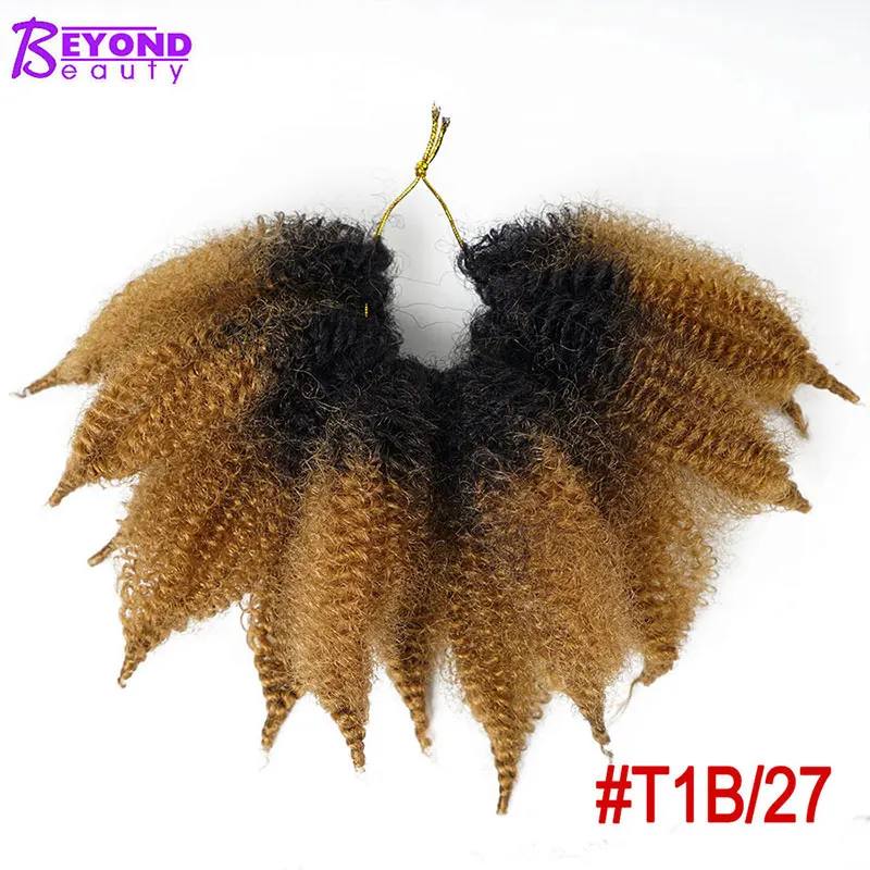 t27