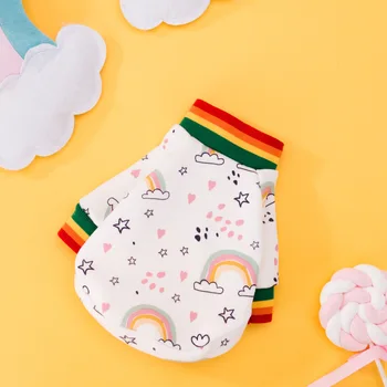 

New autumn and winter dog cute small dog cloud rainbow sweater cat two legged cat pet clothes