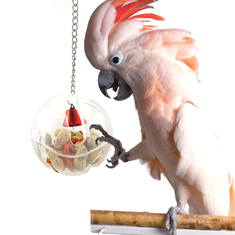 pet bird supply store
