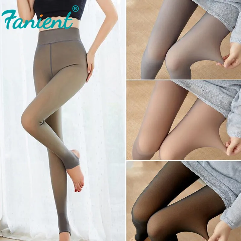 Fake Translucent Fleece Tights Online 