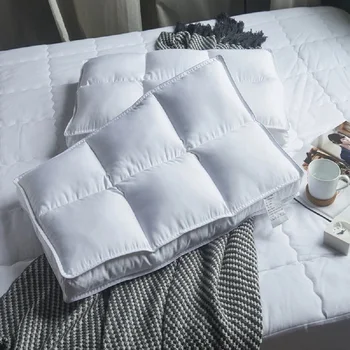 

Premium Polyester Filled Pillow Form Insert 48x74cm Machine Washable Hotel Pillow Soft For Sleeping