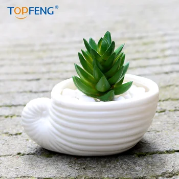 

Mini ceramic Succulent Plant Container Green Planters for decoration, beautifed your life