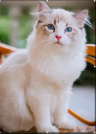 360截图20191226205804445