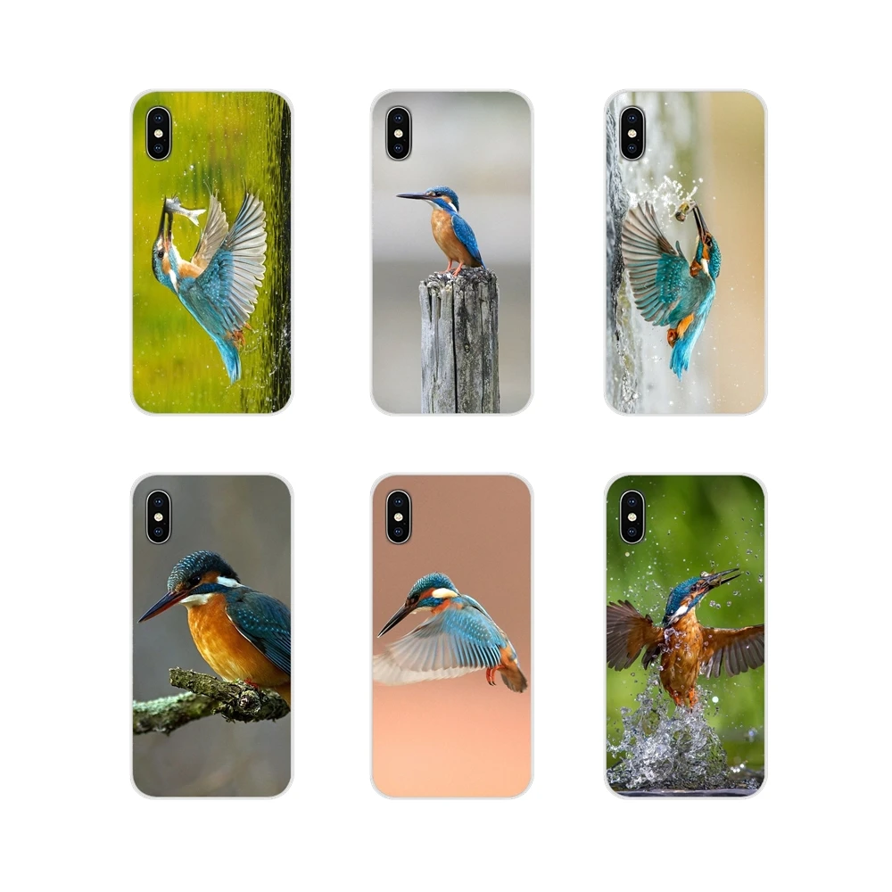 For Samsung A10 A30 A40 A50 A60 A70 Galaxy S2 Note 2 3 Grand Core Prime Accessories Phone Cases Covers lovely kingfisher bird | Мобильные