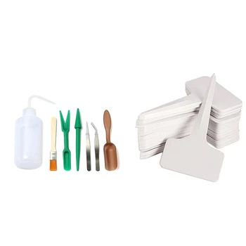 

Roll over Image To Zoom in 7Pcs Succulent Transplanting Miniature Fairy Garden Planting Gardening Hand Tools Set with 100 Pcs Ga