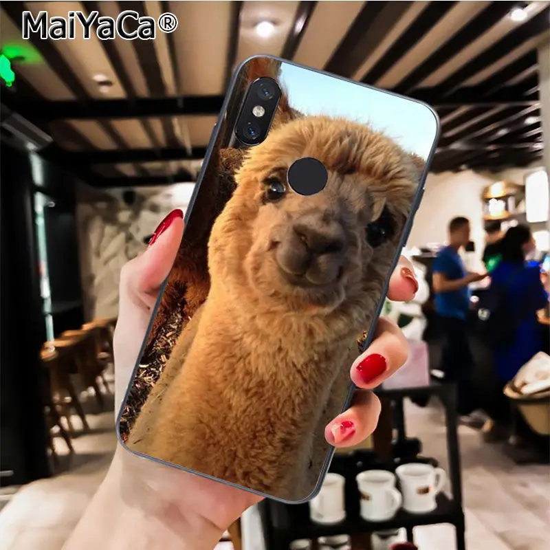 MaiYaCa Cute Animal Alpaca lama Llama Colorful Phone Case for Xiaomi Redmi8 4X 6A Redmi Go Redmi5 5Plus Note7 8ProA1 A2Lite