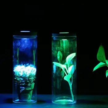 

NEW Night Lamp Room Transparent Romantic Gifts Ecology Bottle Light Decoration Home Straight Glass Micro Landscape Luminous