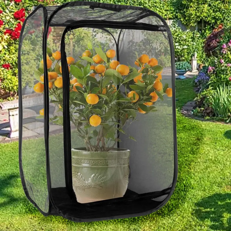Collapsible Butterfly and Insect Cage Habitat