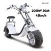 white 2000W 20AH