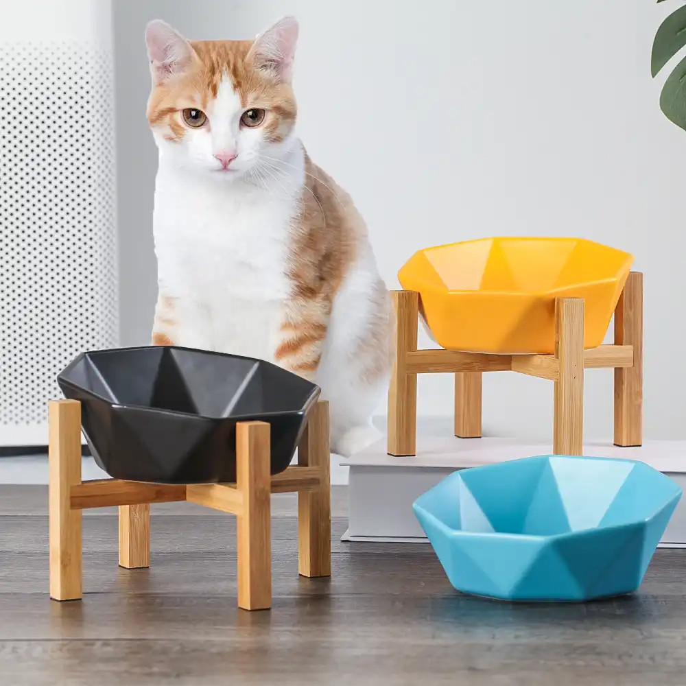 Ceramic Tilted Cat Dog Bowl Cat Food 