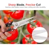 Stainless Steel Garden Pruning Shears Fruit Picking Scissors Household Potted Trim Weed Branch Pruner Trimmer Non-Slip Handle ► Photo 3/6