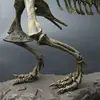 4D Tyrannosaurus Rex Excavation Science Kit Dig Up Dinosaur and Assemble a 4D Skeleton Ancient Animal Fossil Skull 4