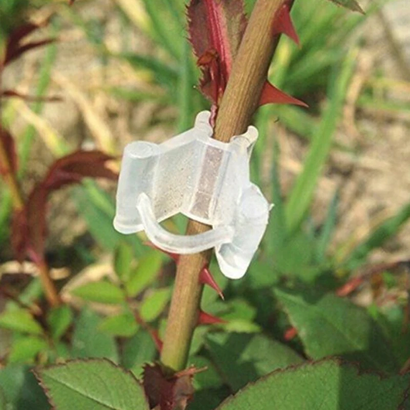 

50PCS Grafting Clips For Garden Vegetable Flower Planting Gardening Accessories For Grafting Flowers And Plants