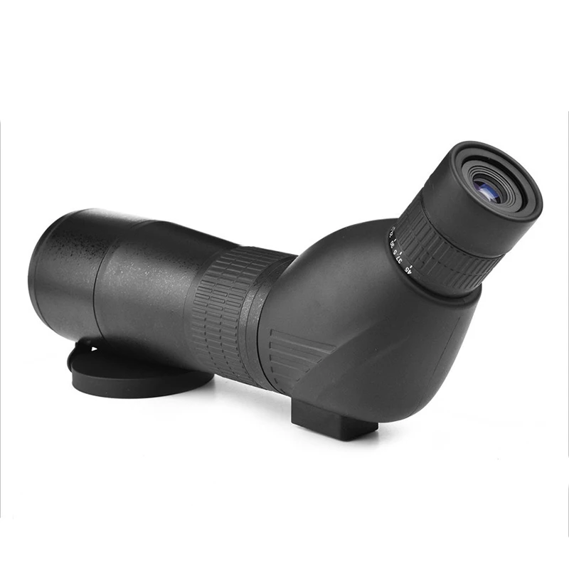 9126820181_1028835716