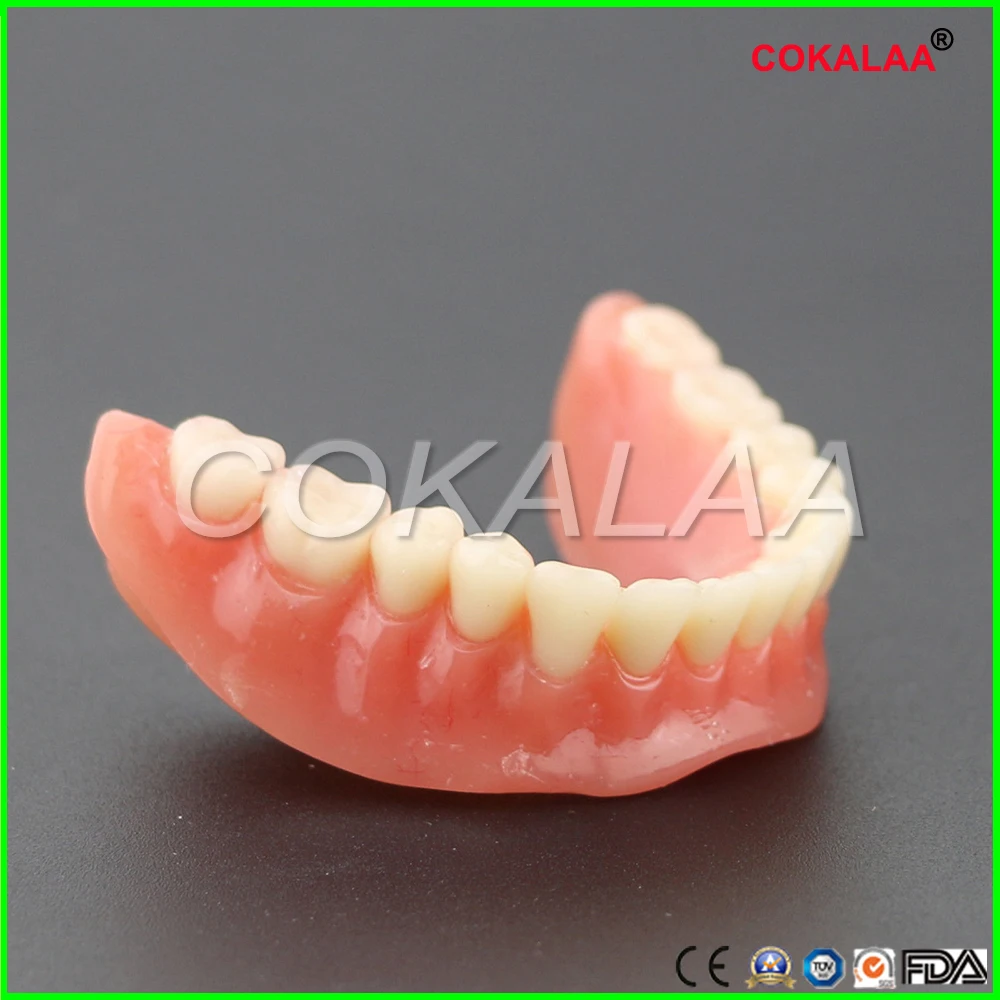 Стоматологическая модель исследования зубов Overdenture NOR Implant Demo модель