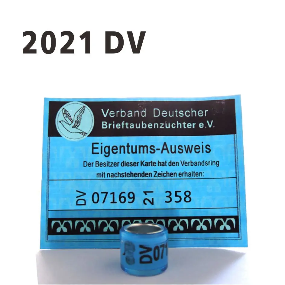 Anillos de Paloma DV con cartas de pájaro, 10 Uds., 2021 DV, 8mm