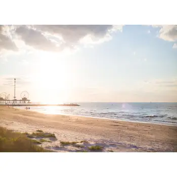 

Vinyl Custom Photography Backdrops Beach Theme Photography Background RY20721-15