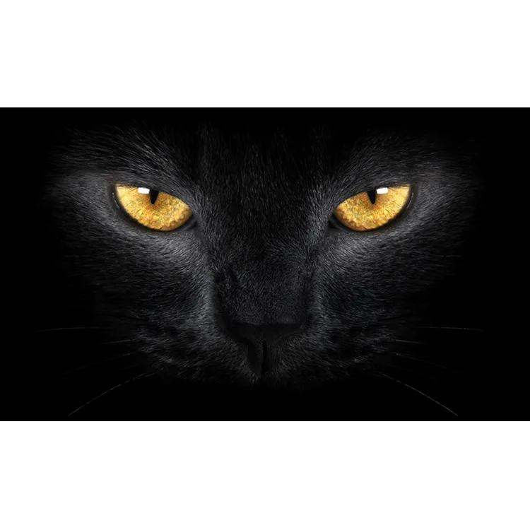 Cat-Yellow Сюрприз 3D стикер на заднее лобовое стекло автомобиля водонепроницаемый One Way Vision материал OEM 130*70 см уникальный ORC волк триллер стикер страшный - Название цвета: Cat-Yellow