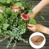 Garden Supplies