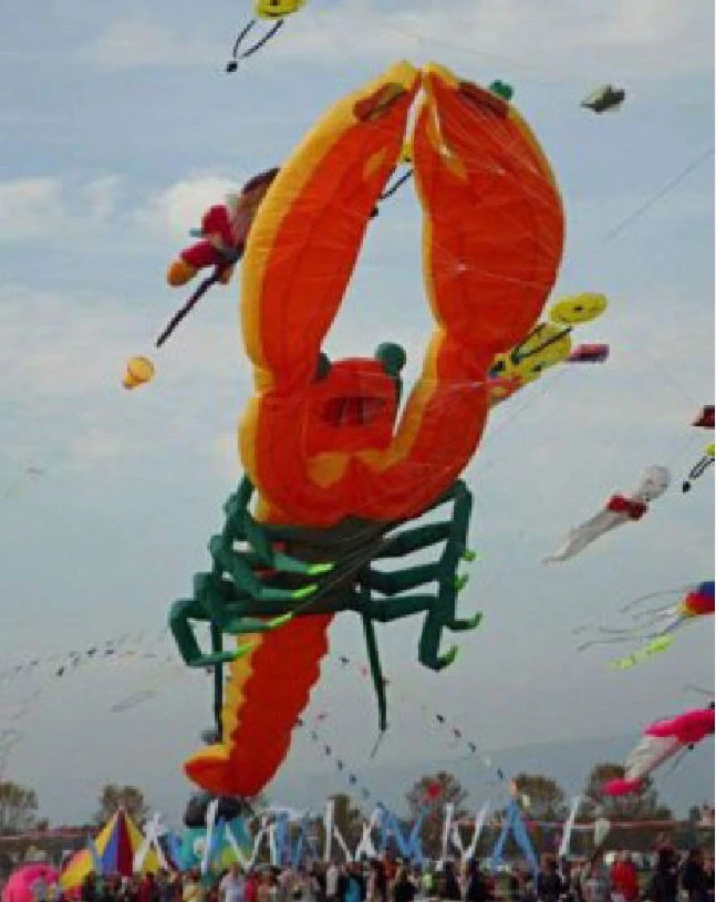 soft giant kite animal big kites for adults kite flying cometas para
