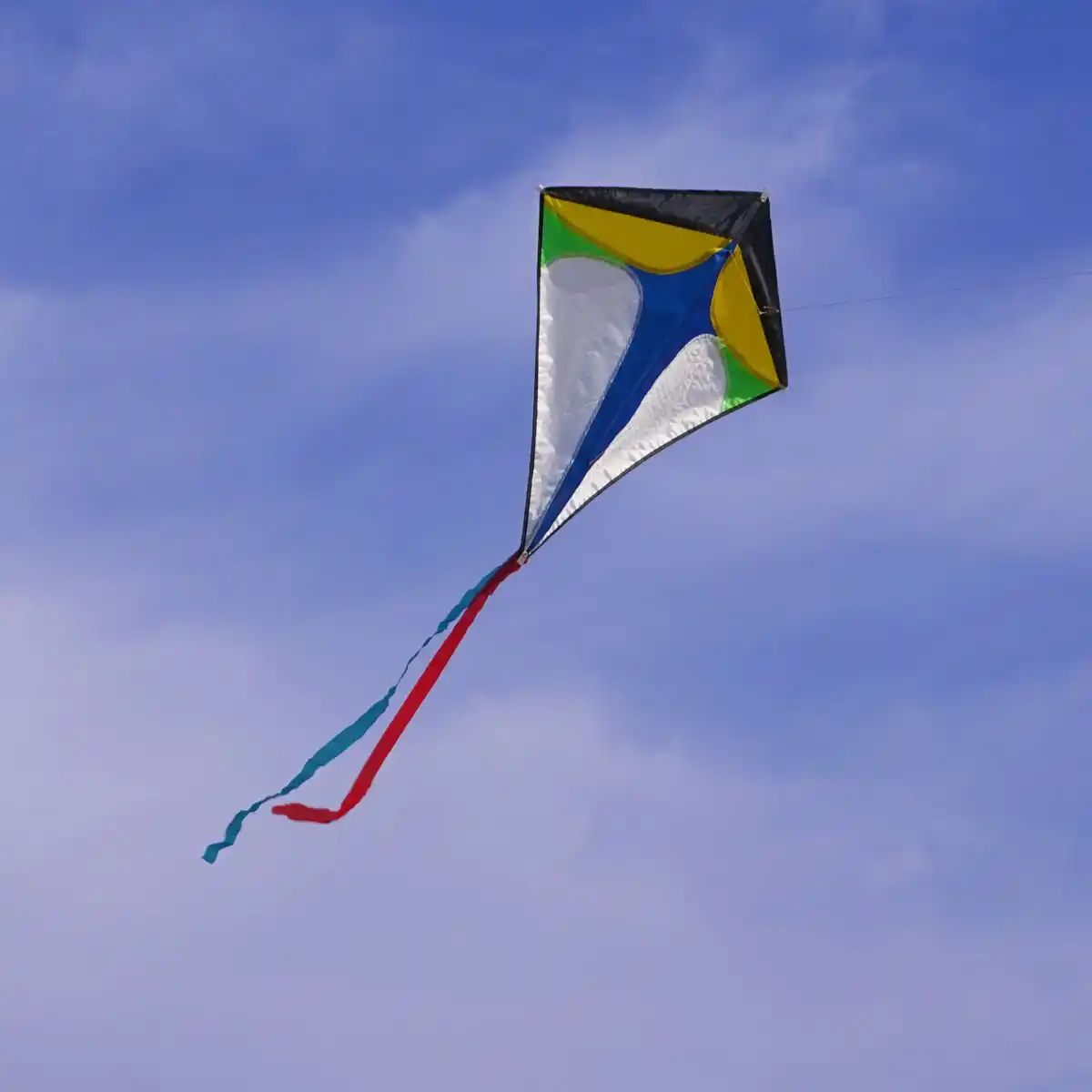 shipping high quality 2pcs/lot flying sky rainbow delta kites