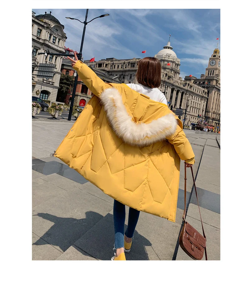 11569930605_822615558