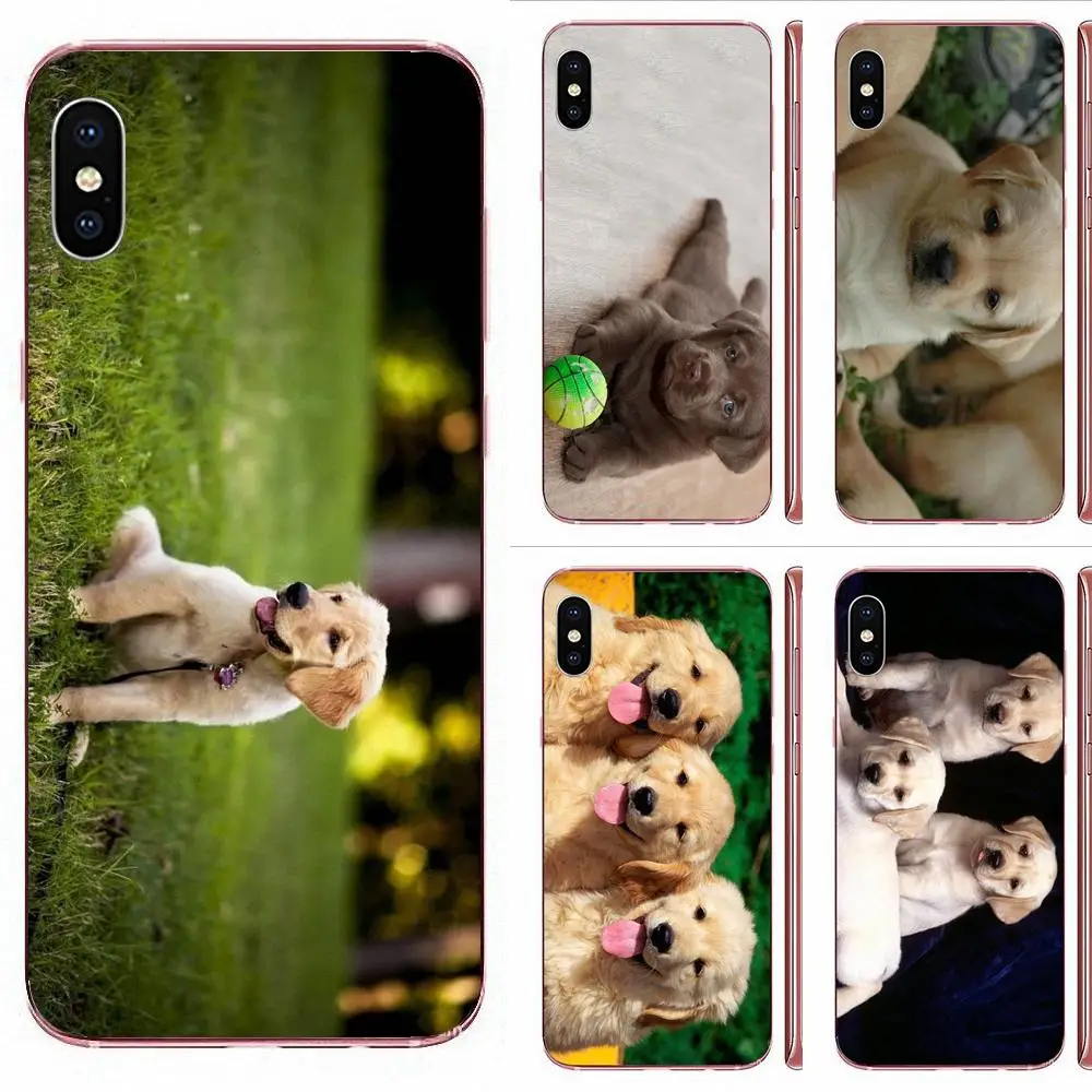 Чехлы для Samsung Galaxy A10 A20 A30 A40 A50 A10S A20S A30S A40S A50S S8 S9 S10 S20 Plus щенок лабрадора | Мобильные