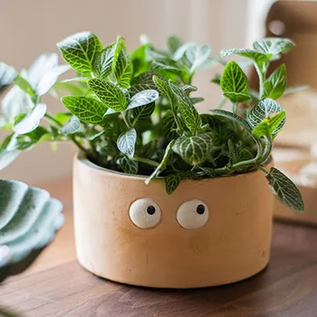 

Eye Flower Pot Flower Vases Desktop Succulent Green Plant Pot Mini Home Decor XHC88