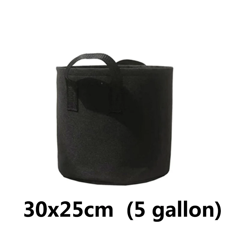black 5 gallon