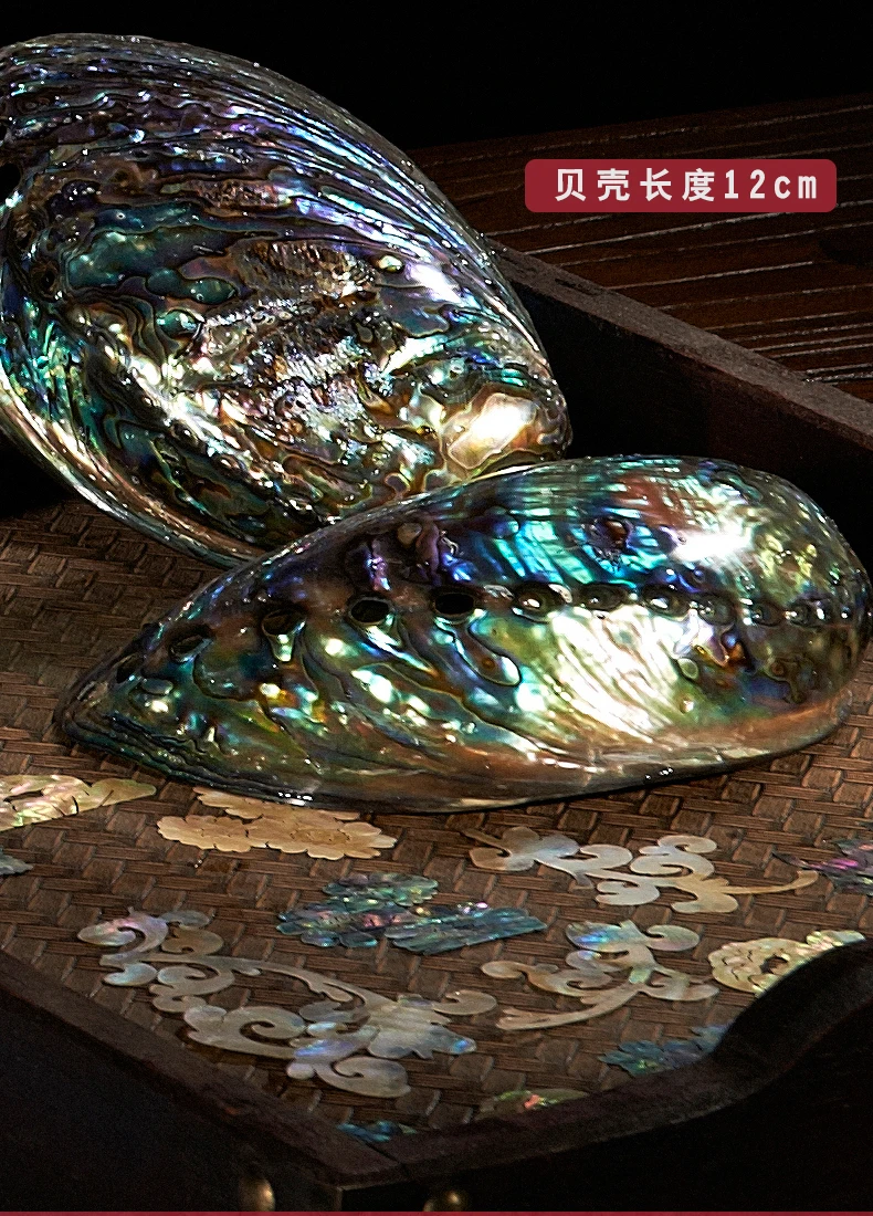 TB2uBcrFeSSBuNjy0FlXXbBpVXa_427855525