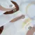 GIANTEX Circle Bathroom Curtain Водонепроницаемые Занавески для Душа для Ванной Комнаты Cortina Ducha Rideau De Douche Douchegordijn U1089