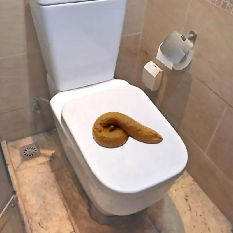 

Realistic Feces Fake Poop Simulation Shit Entertainment and Ornamental Integration Turd Gag Funny Novelty Mischief Toys