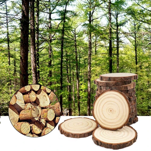 20pcs Natural Wood Slices Craft Wood Kit Unfinished Predrilled with Hole Wooden  Circles for Arts Christmas Ornaments DIY Crafts - AliExpress