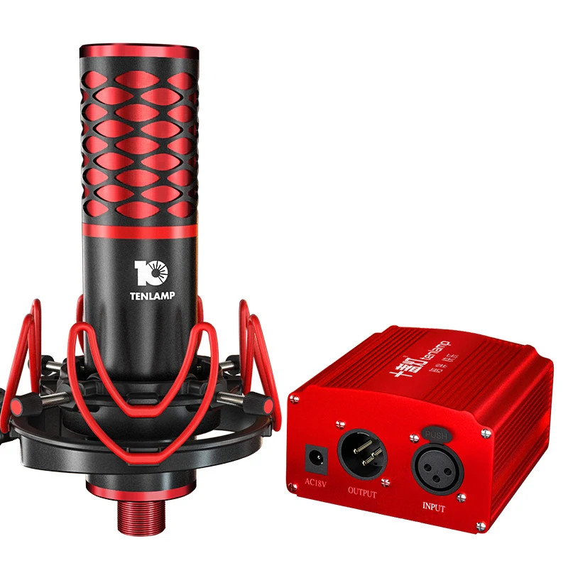 P20 Condenser Microphone for Network K Song Anchor