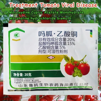 

20% Treatment of tomato virus disease Moroxydine hydrochloride Morpholine bismuth COPPER(II) ACETATE MONOHYDRATE Cupric acetate