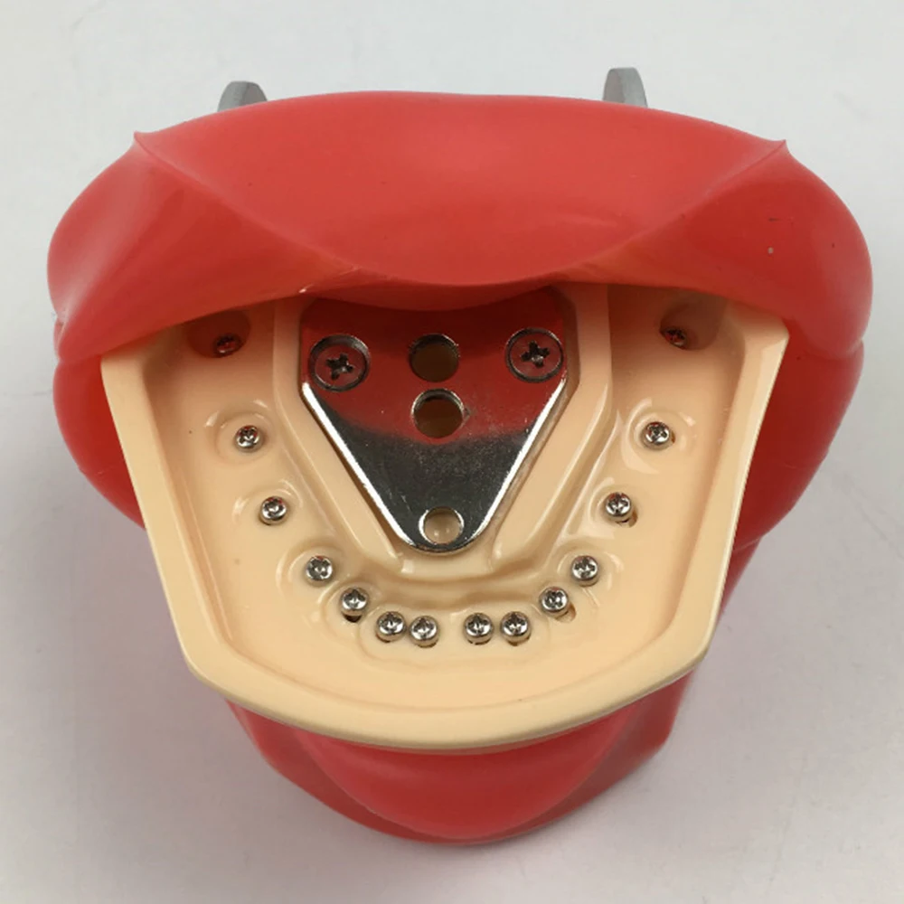 Обучающая модель для студентов, стоматологическая фантомная головка, силиконовая маска с 28 винтовыми фиксированными зубьями