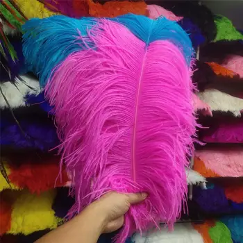 

Hot Sale 50 pcs Rose and Sky Blue 28-30inches/70-75cm "thick stem" male ostrich feathers Wedding Birthday Christmas Decoration